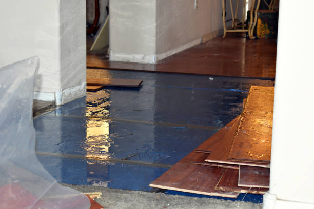 Professional Water Damage Restoration technician working in Friday Harbor, WA